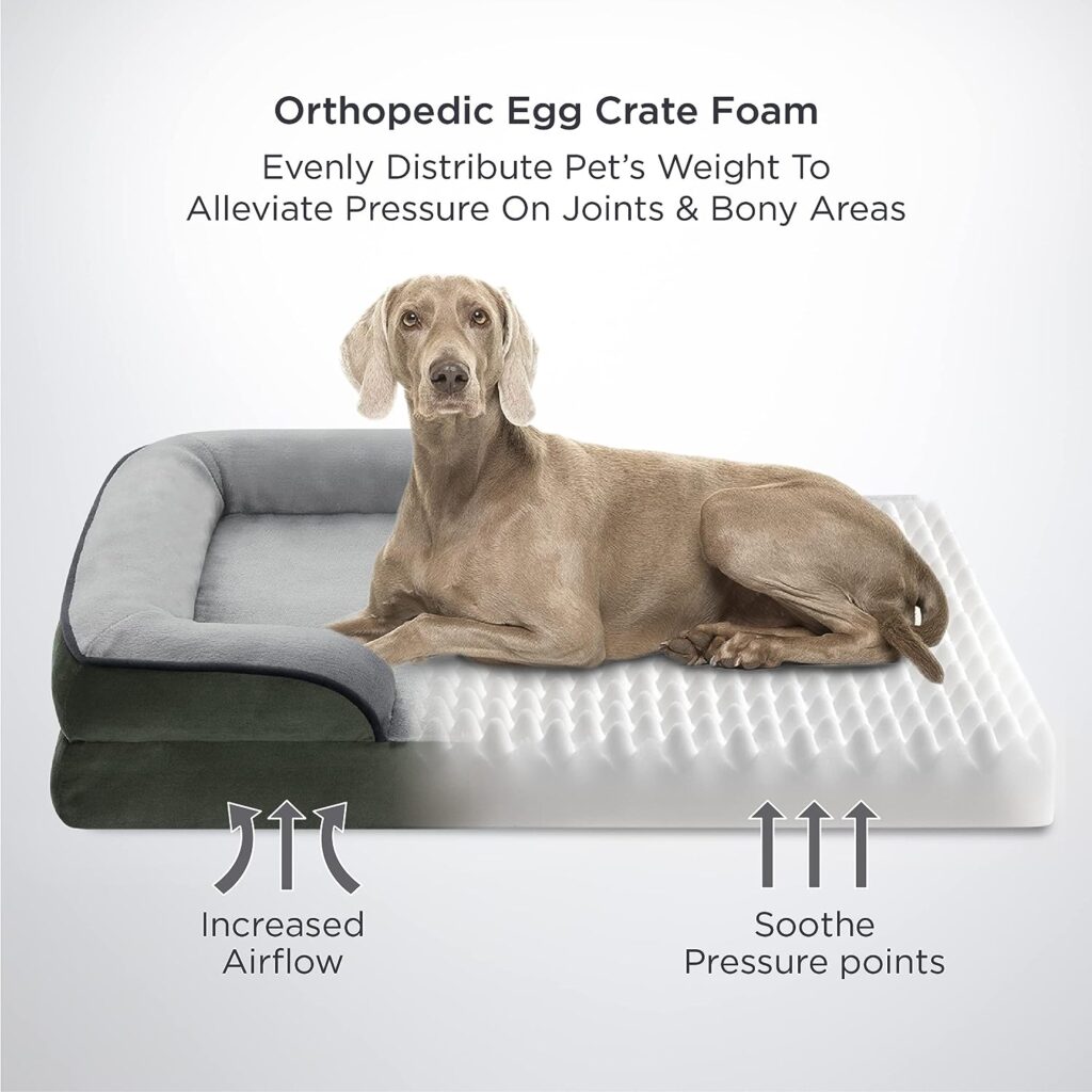 Bedsure Medium Orthopedic Bolster Dog Bed, Foam Sofa with Removable Washable Cover, Waterproof Lining and Nonskid Bottom Couch, Dark Green
