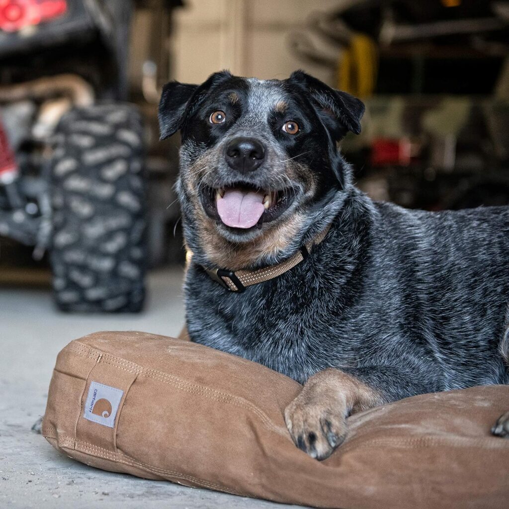 Carhartt Firm Duck Dog Bed Dark Brown, Large